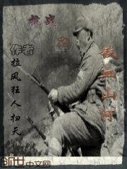 抗战之铁血少帅封面