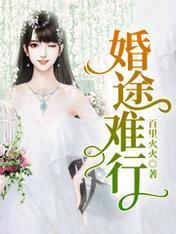 婚途难行封面