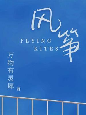 风筝封面