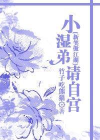 小湿弟,请自宫封面
