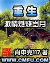 重生之激情燃烧岁月封面