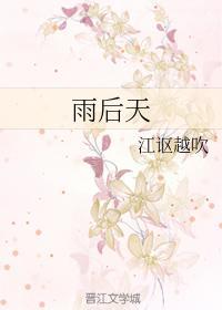 雨后天封面
