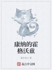 康纳的霍格沃兹封面