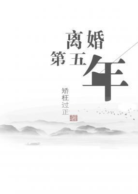 离婚第五年封面