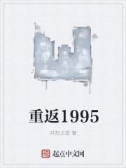 重返1995封面
