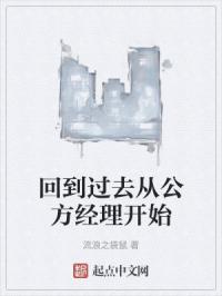 回到过去从公方经理开始封面