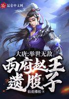 大唐：举世无敌，西府赵王遗腹子封面