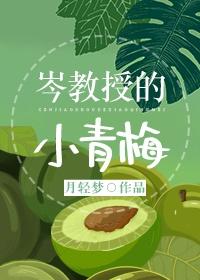 岑教授的小青梅封面