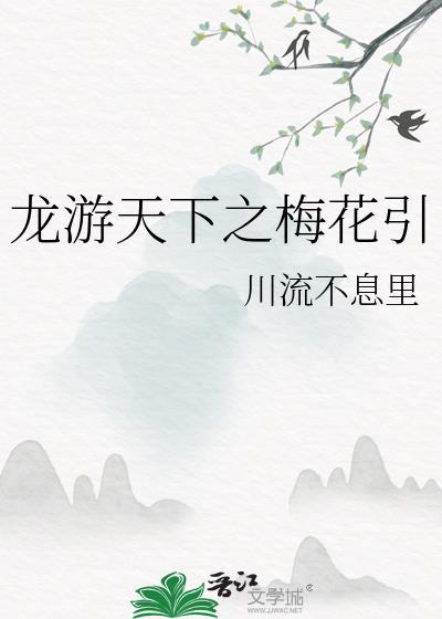 龙游天下之梅花引封面