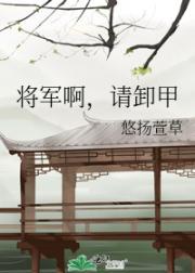 将军啊，请卸甲封面