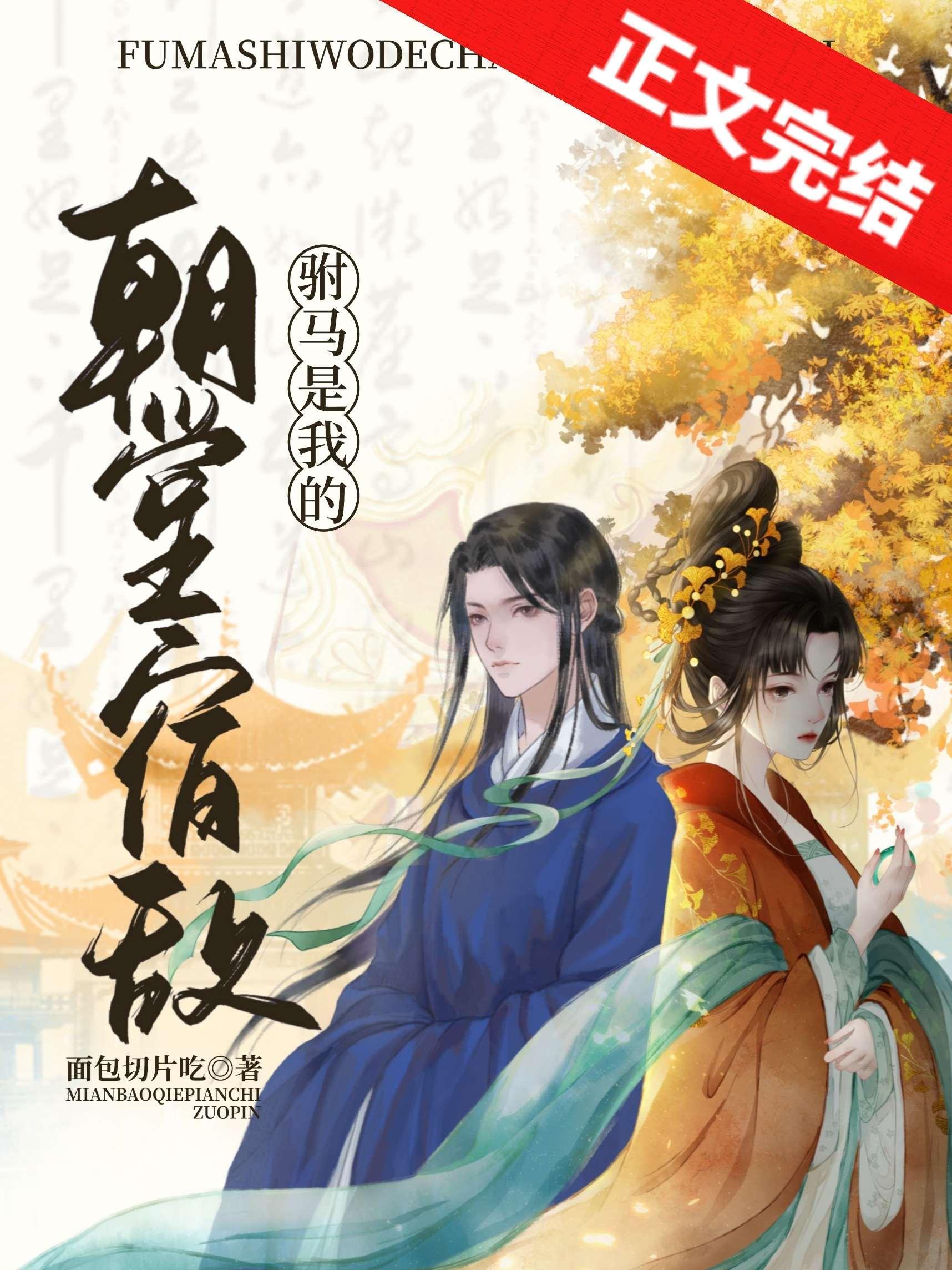 驸马是我的朝堂宿敌封面