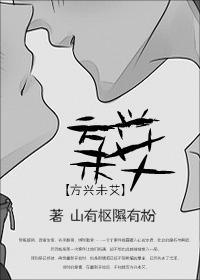 方兴未艾封面