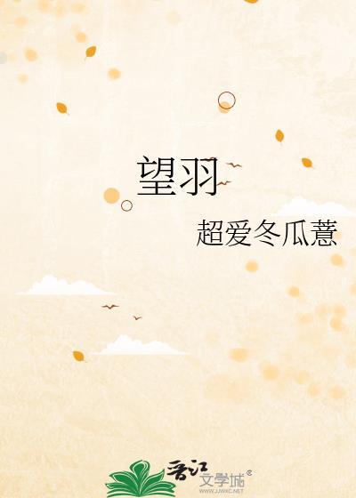 望羽封面