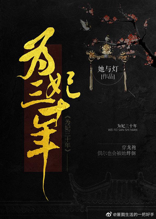 为妃三十年封面