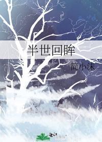 半世回眸封面
