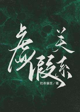 虚假关系封面