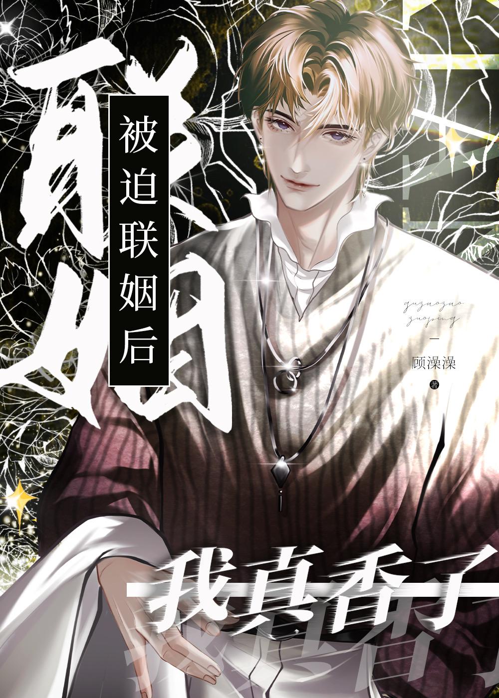 漂亮的他封面