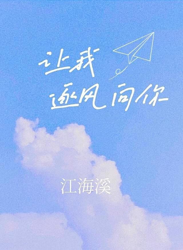 让我逐风向你封面