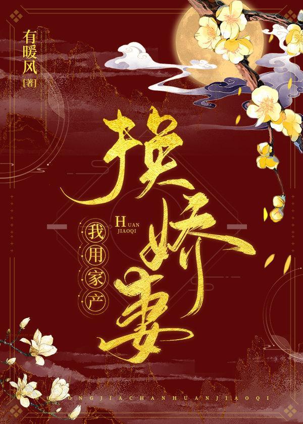 我用家产换娇妻封面