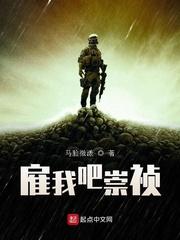 雇我吧崇祯封面
