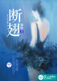 断翅封面