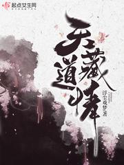 天道藏情封面