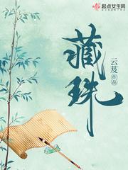藏珠封面