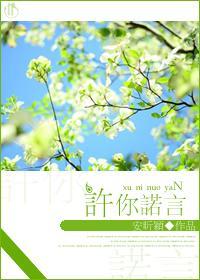 许你诺言封面