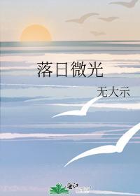 落日微光封面