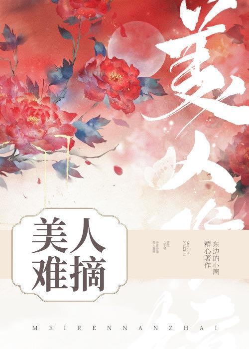 美人难摘封面
