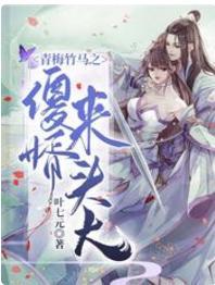 青梅竹马之傻婿来头大封面