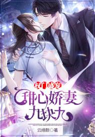权门盛宠:甜心娇妻九块九封面