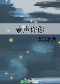 壹声许你封面