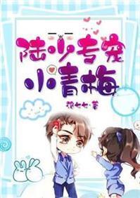 陆少专宠小青梅封面