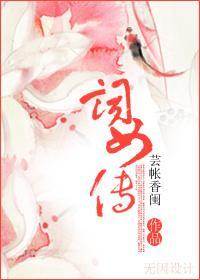 大宋词女传封面