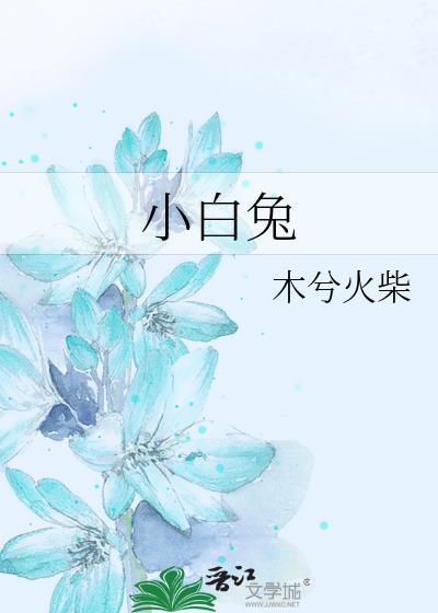 小白兔封面