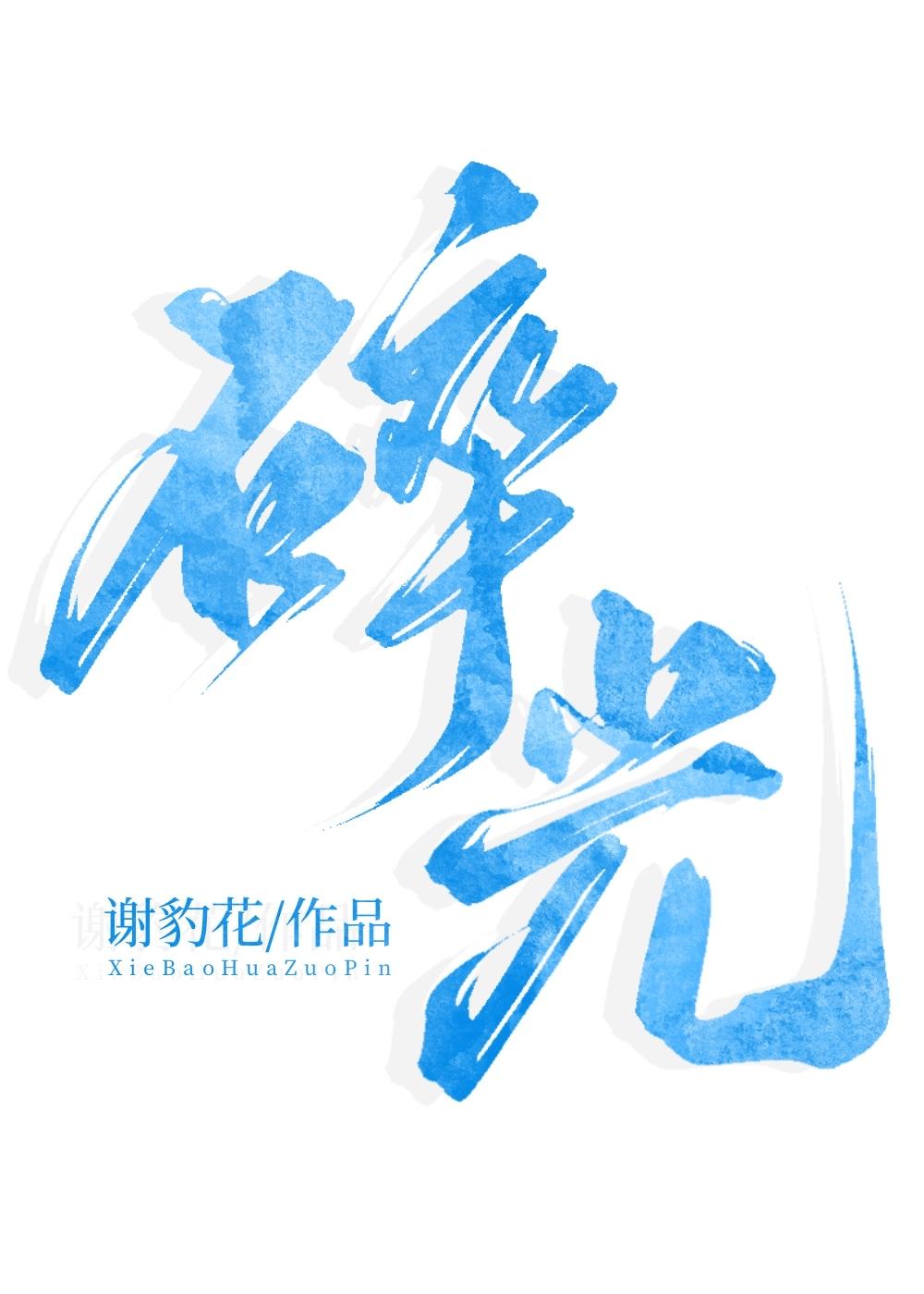 碎光封面