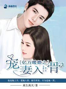 亿万暖婚之宠妻入骨封面