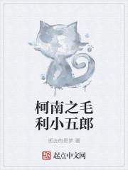 柯南之毛利小五郎封面