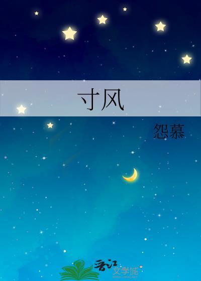 寸风封面