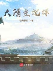 大隋主沉浮封面