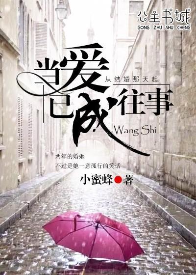 当爱已成往事封面