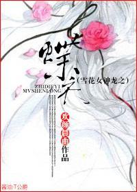 雪花女神龙之蝶衣封面