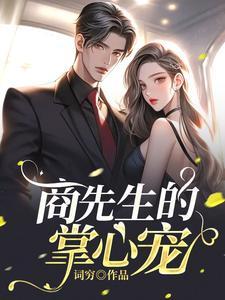 商先生的掌心宠封面