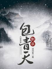刺杀包青天封面