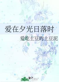爱在夕光日落时封面