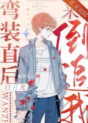 弯装直后白月光来倒追我封面