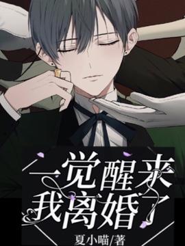 一觉醒来我离婚了封面