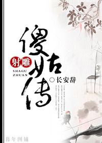 射雕傻姑传封面