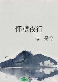 怀璧夜行封面